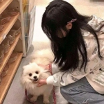 边境之旅bilibili版下载
